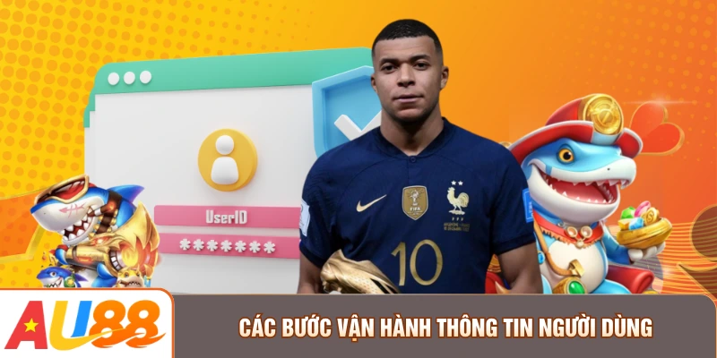 Các bước vận hành thông tin người dùng