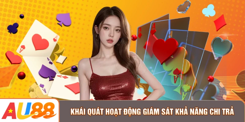 Khái quát hoạt động giám sát khả năng chi trả