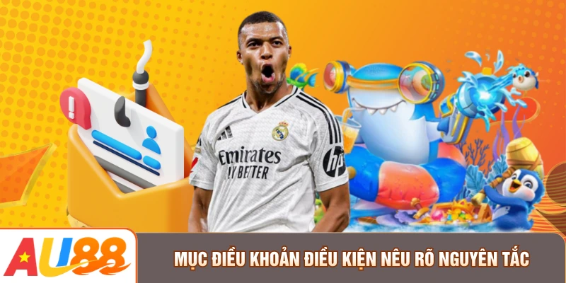 Mục điều khoản điều kiện nêu rõ nguyên tắc